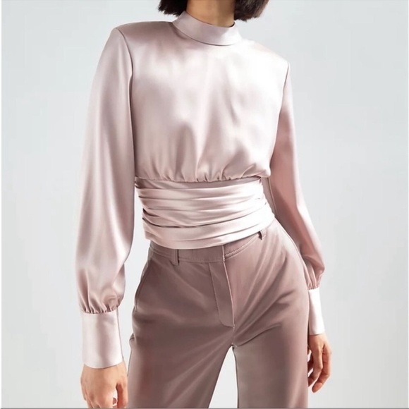 Aritzia Babaton Rosalia Blouse Satin Top Cropped in Mauvedust Pink Size Small. - Picture 11 of 12